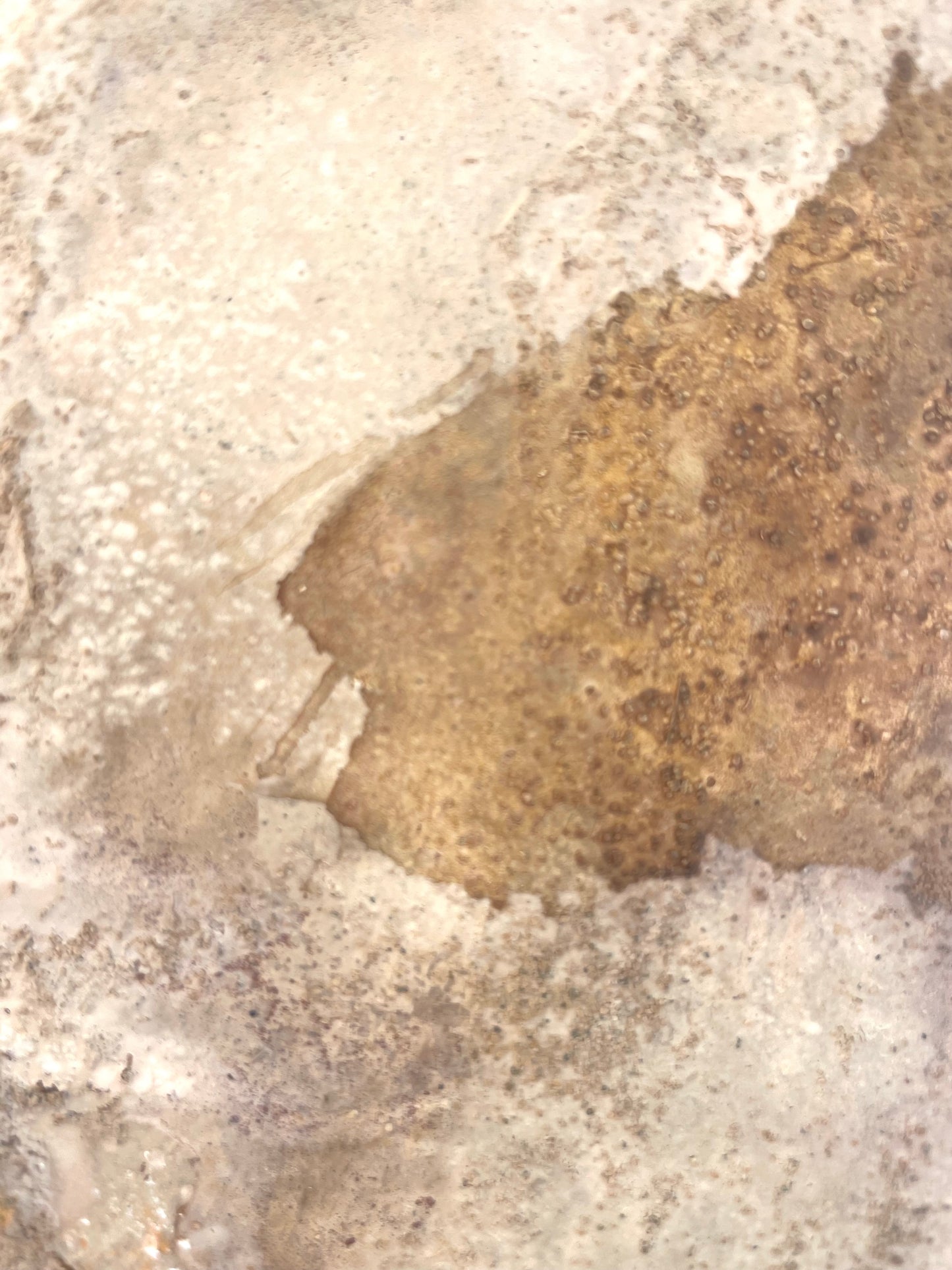 Rugged Beauty: An Ode to a Soul Full of Grit