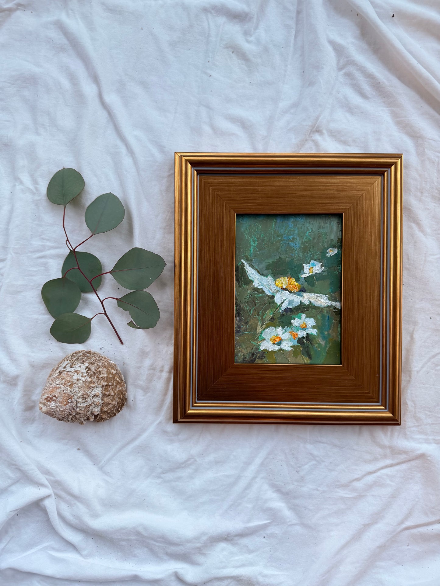 Matilija Poppy