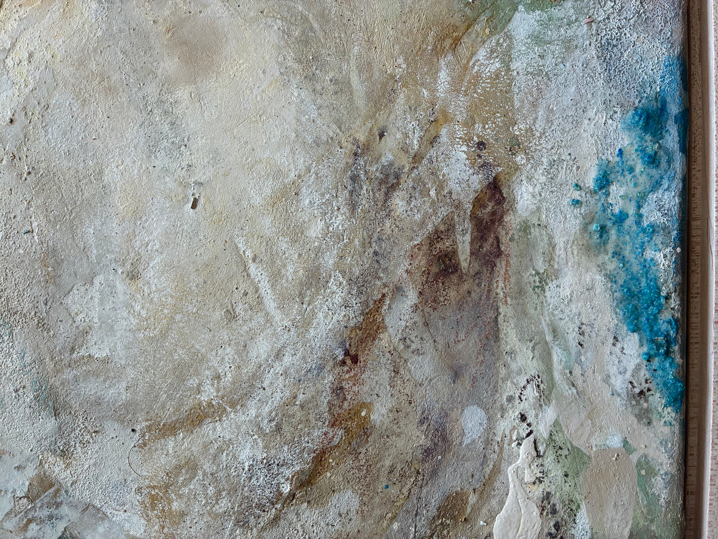 Calcified Shell