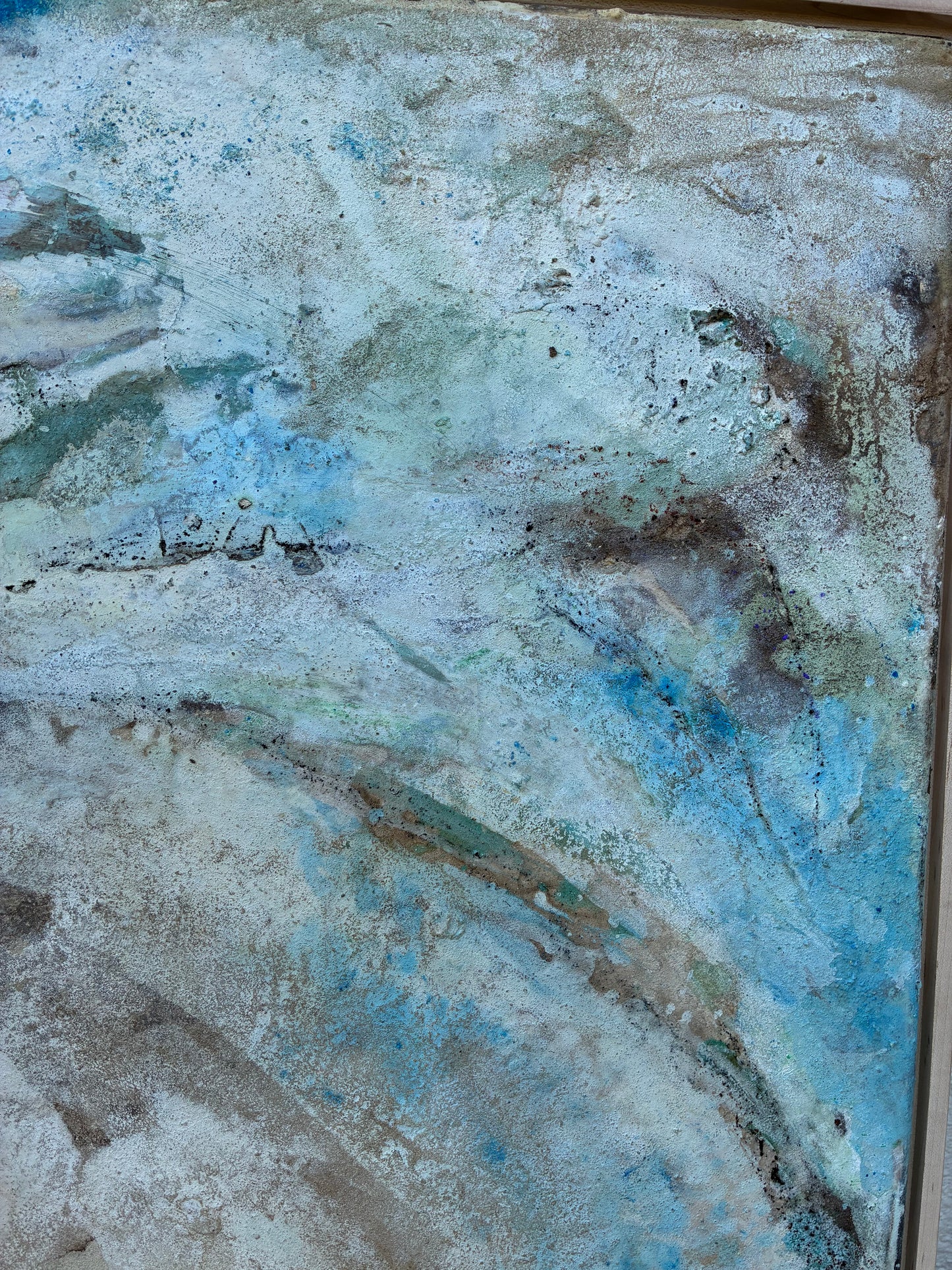 Calcified Abalone Shell no. ii