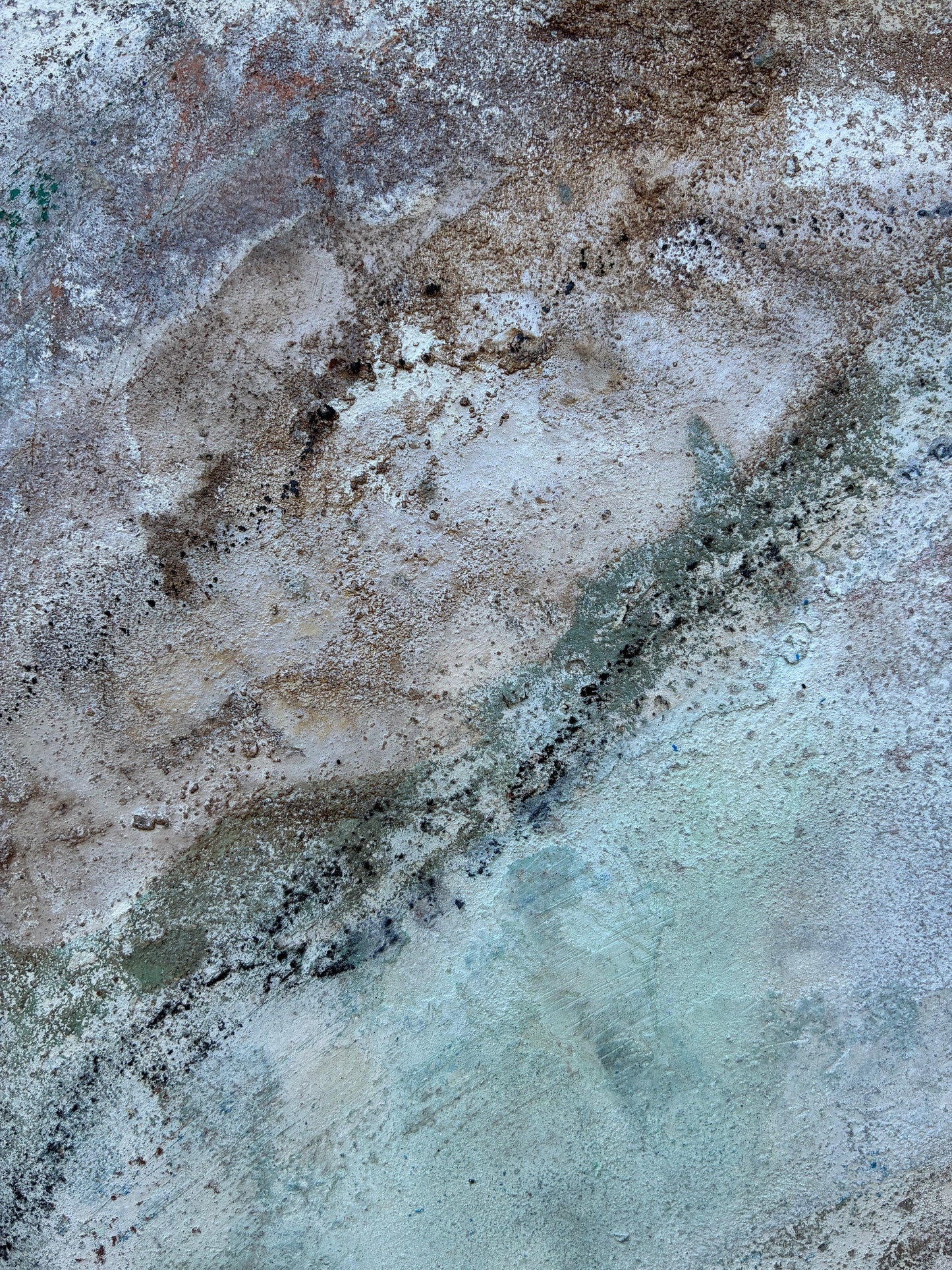 Calcified Abalone Shell no. ii