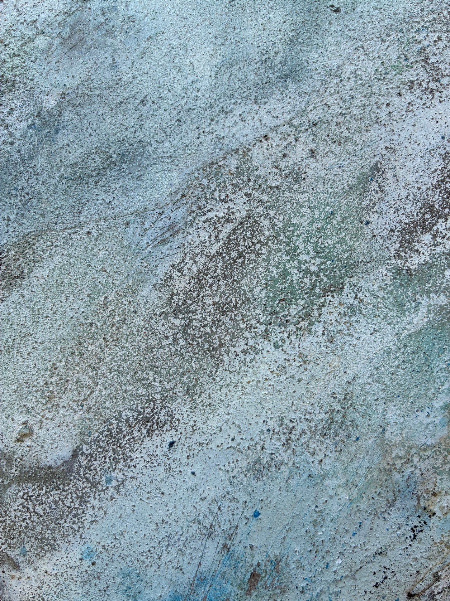 Calcified Abalone Shell no. ii