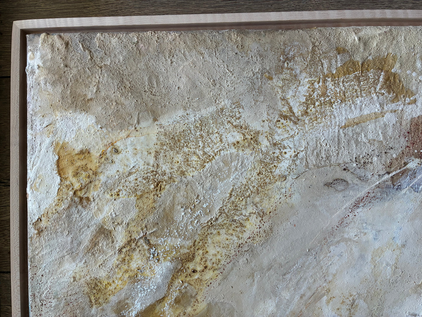 Calcified Shell