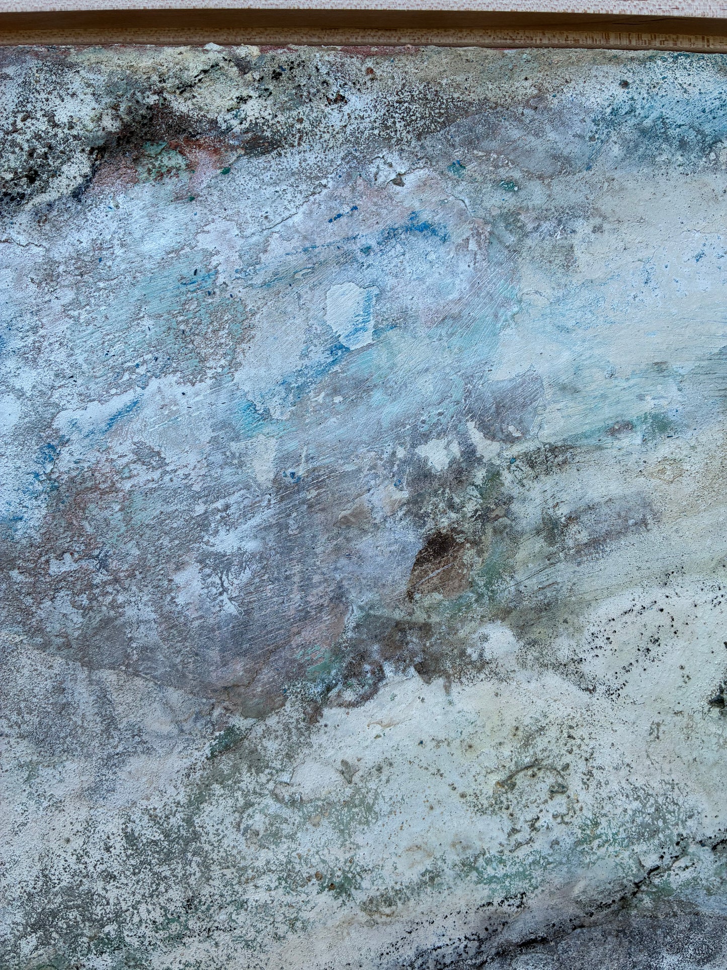 Calcified Abalone Shell no. ii