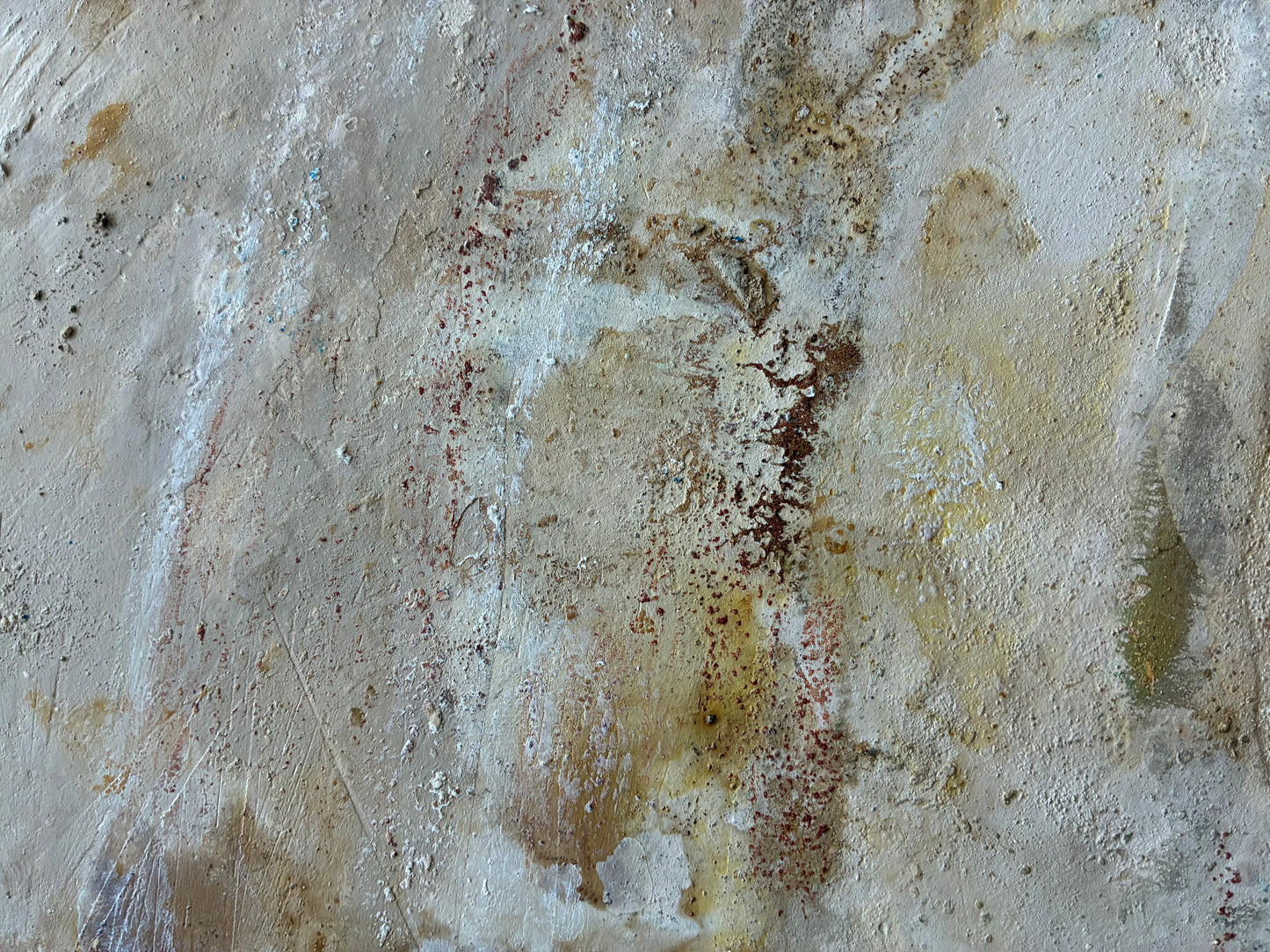 Calcified Shell