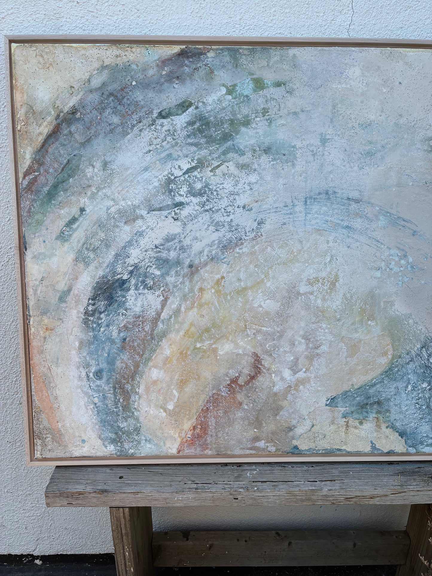 Calcified Abalone Shell